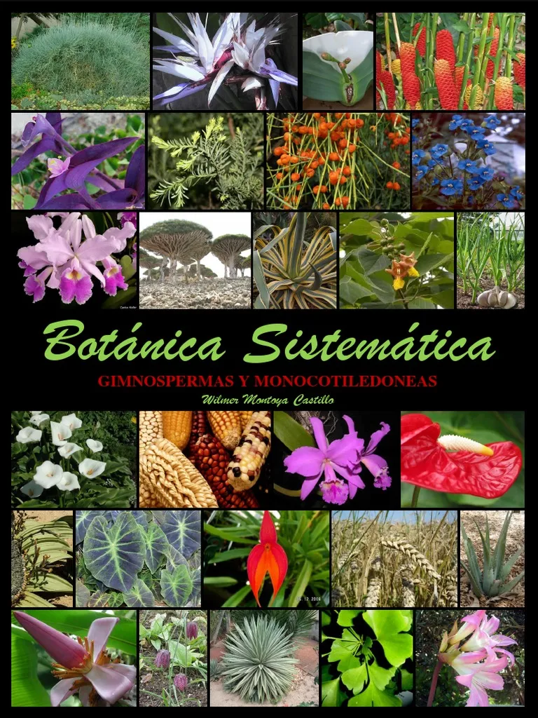 Botanica Sistematica